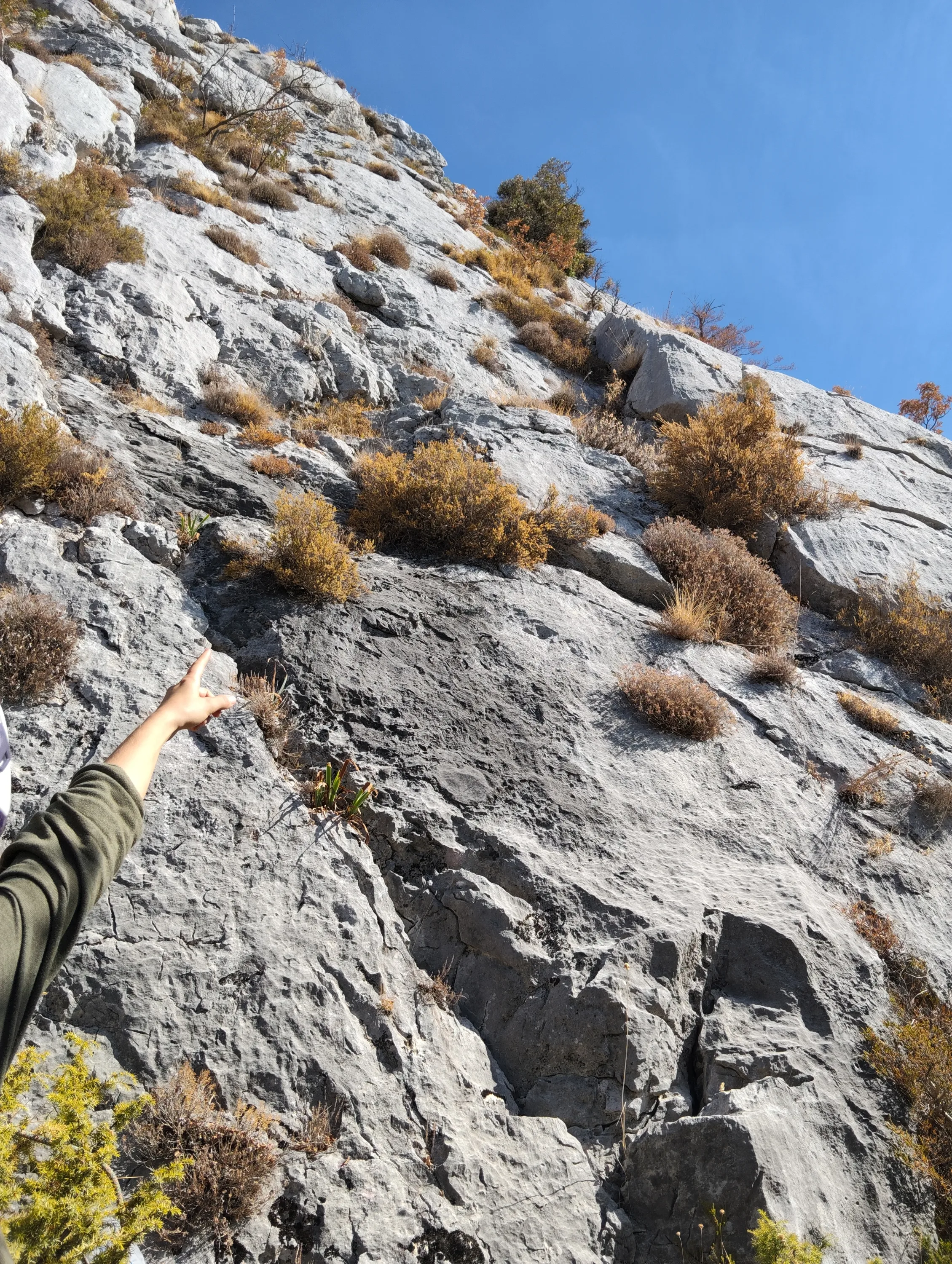 Lovro Lepan ascent photo