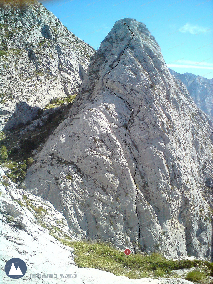 Sokol