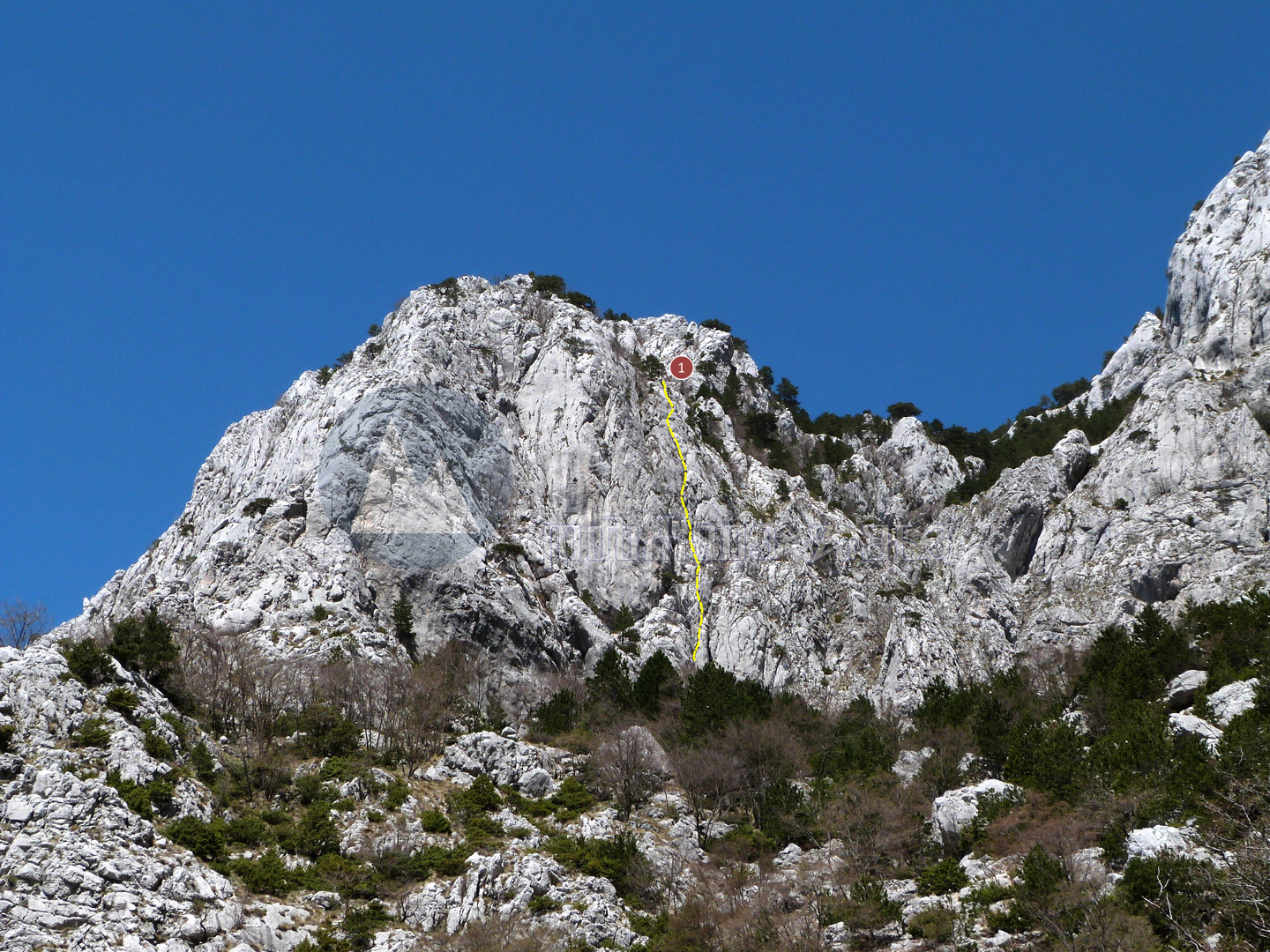 Veliki Borovac