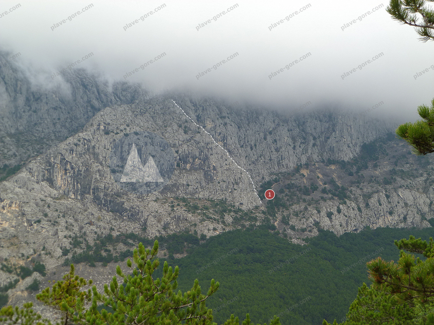 Bukovac