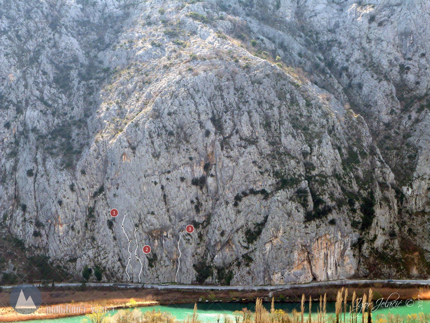 Vojan